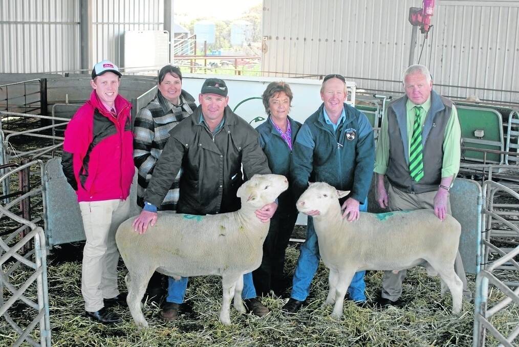 Aroona Park White Suffolk Stud’s top-price rams with Elders Cowell’s Lachie McAllister, buyers Michelle and Jack Curtis, Coodloloo, Cowell, Aroona Park stud principals Julie and Peter Button, Minlaton, Yorke Peninsula, and Landmark Cowell’s Daven Wagner.