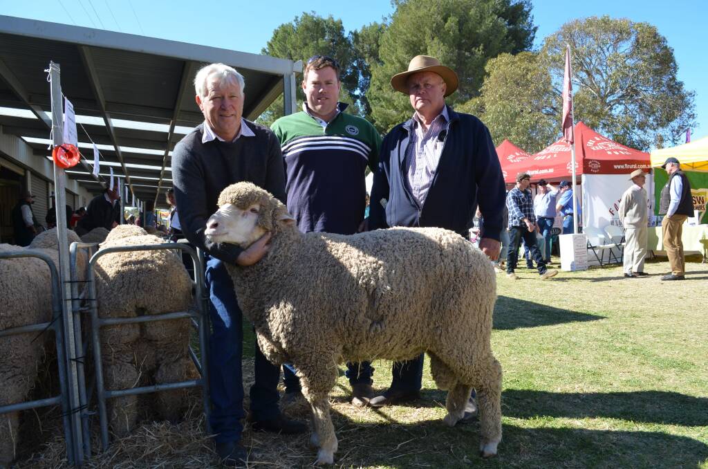 Tamaleuca Stud’s Kevin Crook, Ouyen, Vic, holds the top-price Poll Merino ram at the Wentworth sale on Sunday, with buyers Travis and Andrew Ettershank, Mernda, Gilgandra, NSW.
