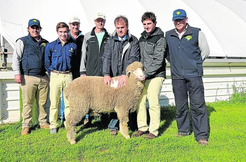 WIth the $5000 top-price ram at the Minta Merino and Poll Merino ram sale on Thursday last week are EP Livestock & Real Estate’s Ben Dickenson, Minta’s Kirk Hull, Cousins Merino Services’ Paul Cousins, Burra, top-price buyer Shane Trowbridge, Santrow, Penong, Quality Wool area manager Lawrence Seal, Minta’s Jesse Hull, and EP Livestock & Real Estate’s Richard Hill.
