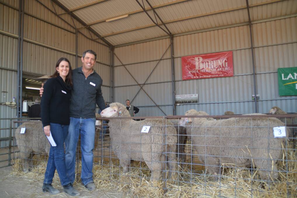 Borung Poll Merino stud principals Penny and Brenton Kroehn with the $2000 top-price ram at their Waikerie on-property auction.