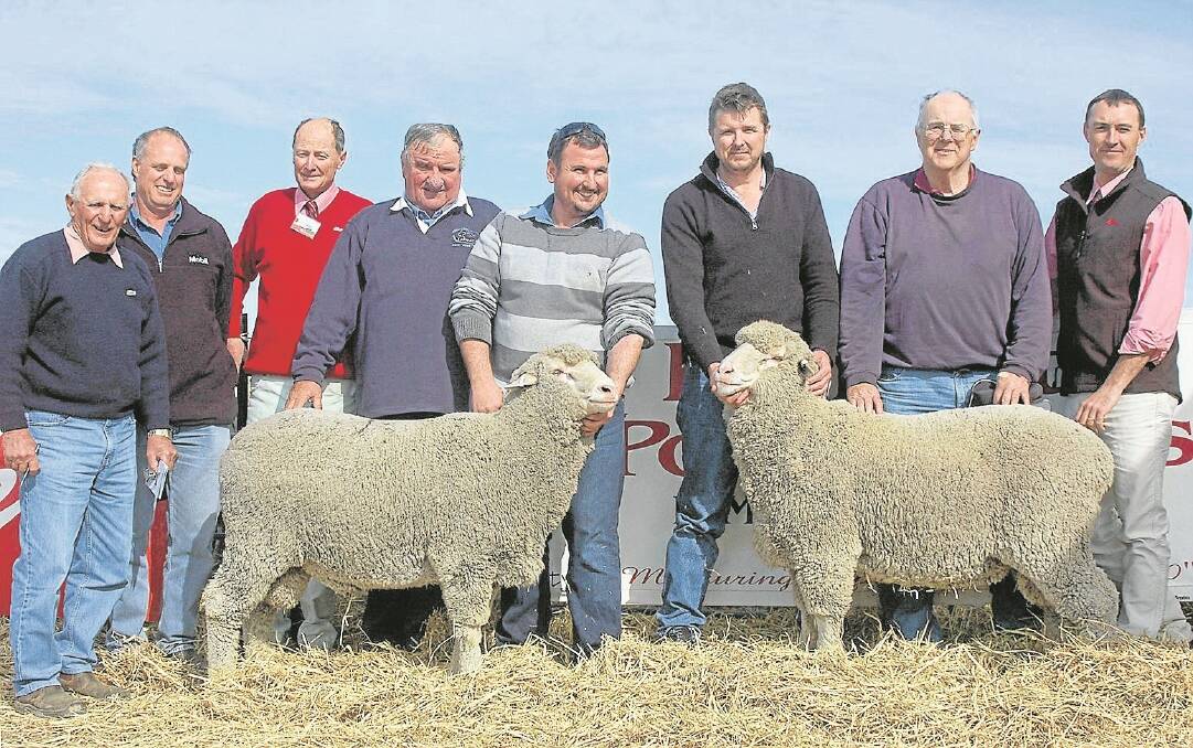 Rams sold to $3000 twice at the Lampata Poll Merino ram sale, pictured are buyers Ray and David Elleway, Cleve, Elders Lameroo manager Pat Larsson, Lampata principals Bruce and Robert Pocock, Lameroo, buyers Ben and Bill Hunt, Bordertown and Elders auctioneer Steve Doecke, Keith.