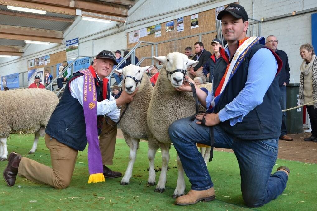 Trevor and Lachie James, Coolawang, Mundulla, with their reserve and junior champion rams, which went on to be named reserve and grand champion ram, respectively.