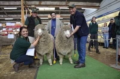 With their champion ram and ewe were brother and sister Talisa and Jared McArdle, Taljar, Parndana, and Sheila Gordon, Mount Crawford Polwarth stud, Mt Crawford, who sashed the pair. Also pictured is David McArdle, Taljar.