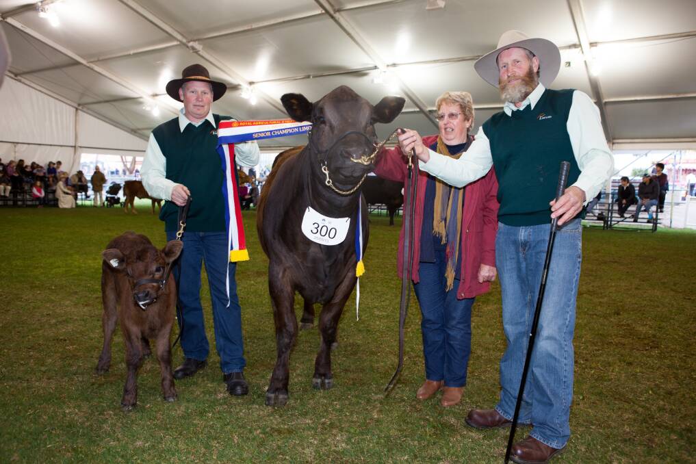 Mark and Darren Rothe, Rothe Bros Syndicate, Padthaway, hold their grand champion Limousin female Mandayen Victoria J2438 and her calf, while Sandra Keetley, Pebbly Range stud, Tungkillo, presents the ribbon.