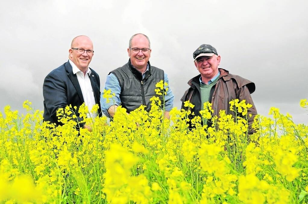 Opposition agriculture spokesperson David Ridgway, Agriculture Minister Leon Bignell and Eyre Peninsula Agricultural Research Foundation chairperson Simon Guerin in an ATT Stingray and Hyola 450 canola crop which is part of a GRDC funded trial looking at risk management in canola.