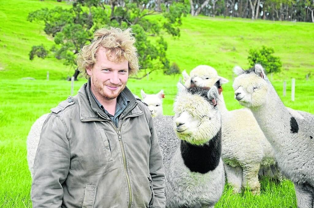 Hindmarsh Valley alpaca stud Softfoot manager Ben Schmaal sent 321 alpacas to China on the weekend. He says Australia is a ‘logical choice’ for China given its proximity and fibre quality.
