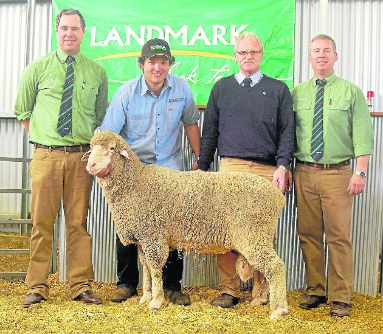Stud co-principal Alistair Michael holds the $17,000 top-price ram at the Leahcim Poll Merino ram sale. Also pictured are Landmark auctioneers Richard Miller and Gordon Wood and AWN South East territory manager Rob Williams, who bought the ram on behalf of Will Lynch, Boorana Merinos, Woorndoo, Vic.