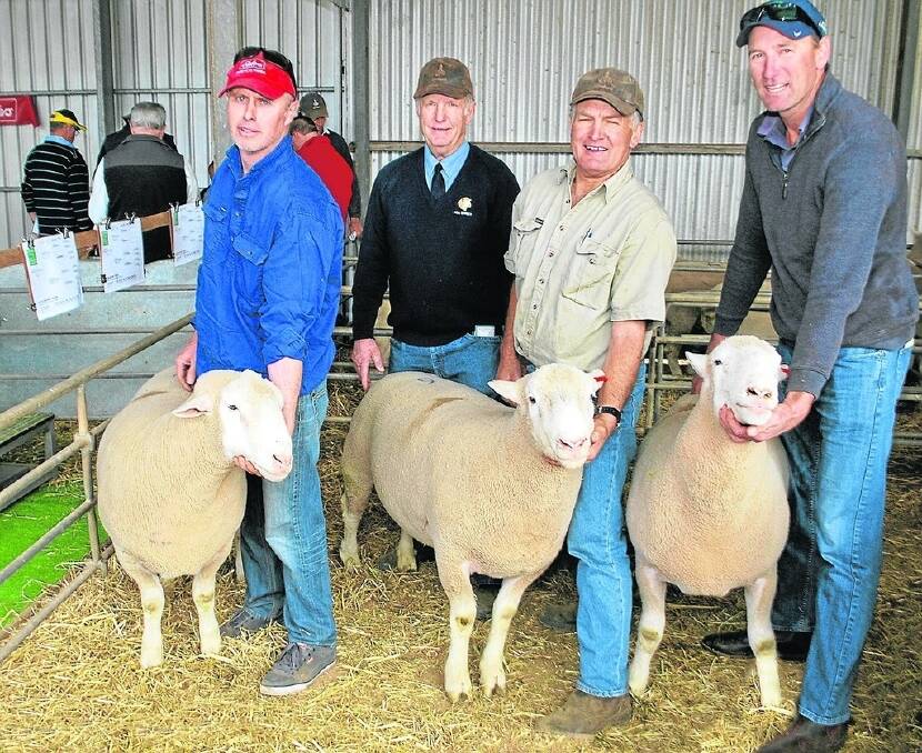 Glen Devon’s Robert Hart (second from left) is with three stud ram buyers and their buys – Chris Gilbertson, Millicent, $2100, Mark Hill, Tarlee, $2000, and Michael Cook, Minlaton, $2000.