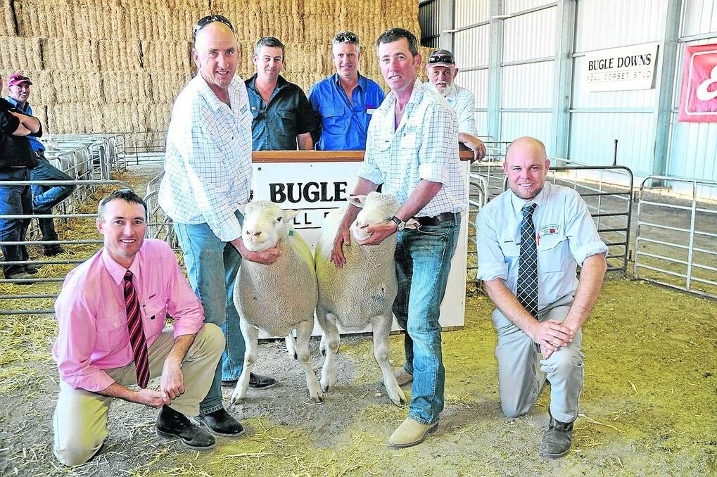 John and Tim Hedges Bugle Downs Poll Dorset stud, Keith with the two $1500 equal top priced rams. One was bought by Daniel Rayson, Bungalally Farms, Keith and the other by Glen Simpson, also of Keith (both on the rostrum). Also pictured are David Molineux, Bugle Downs,Keith, Elders Keith branch manager Steve Doecke and Spence Dix & Co auctioneer Luke Schreiber.
