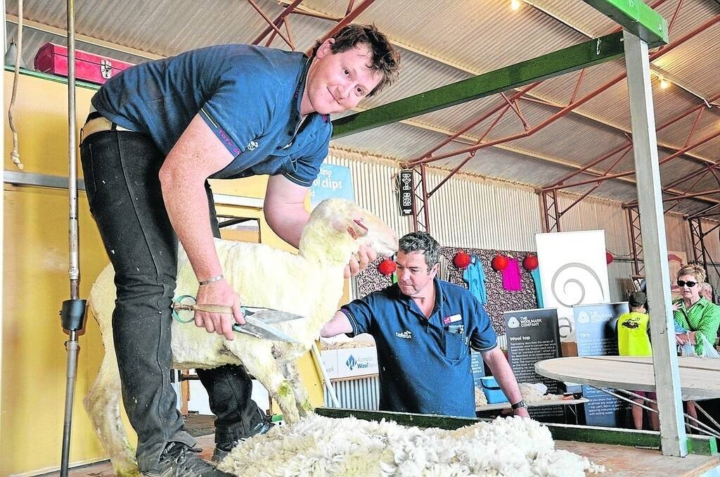 John Dalla, Warooka, was named blade shearing champion at the Sports Shear Australia National Shearing and Wool Handling Championships in Hamilton, Vic, on the weekend but there has been no rest for him as he gave blade and machine shearing demonstrations at the Yorke Peninsula Field Days at Paskeville this week.