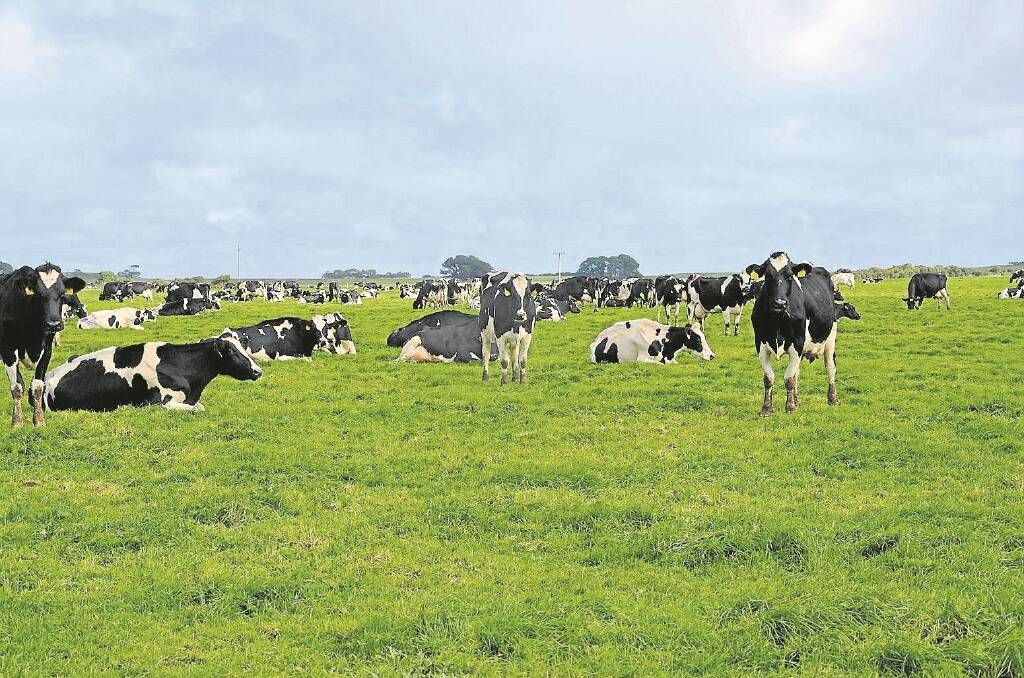 Dairy Australia has placed an emphasis on attracting youth to the industry through several programs, given many older farmers are looking to step back from the trade.
