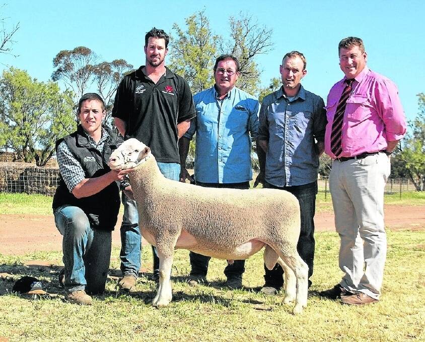 Anden’s Joel Donnan holds the $36,000 sale topper, a White Suffolk ram, Anden 140298. Standing behind the ram are buyer Nathan Ditchburn, Golden Hills stud, Kukerin, WA, Anden principal Andrew Donnan, Golden Hills stud adviser Mark Edwards, and Elders WA stud stock manager Tim Spicer.