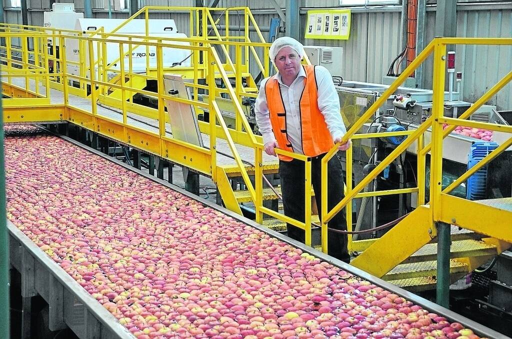Lenswood Cold Store Co-operative Society Limited CEO James Walters said more than 5pc of this year's product was exported to the UK, Malaysia and Thailand, with demand from Asian markets growing.