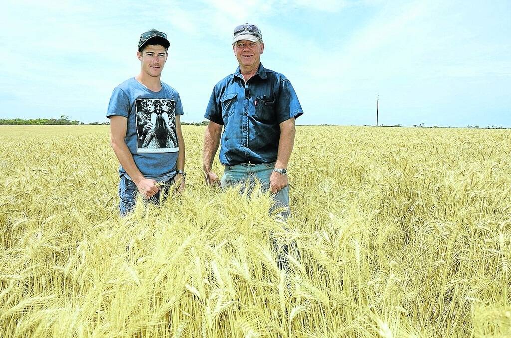 Lock farmer Andrew Hentschke (right) and his workman Josh Dearman in a crop of Mace wheat on a sandy rise treated with a wetter.