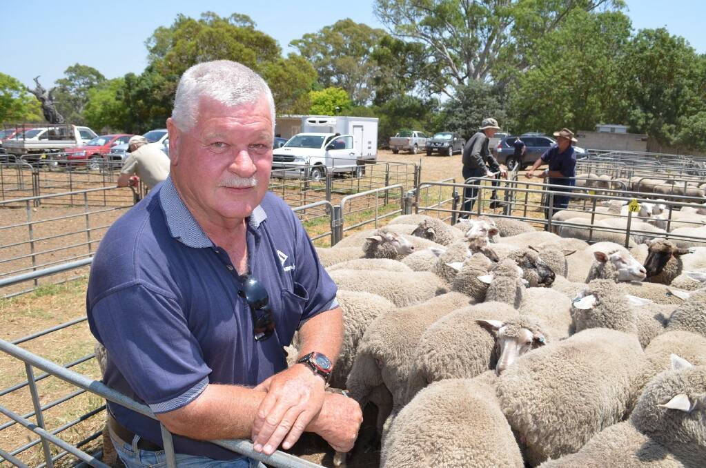 Bo Hambly, Boman Park, Mount Pleasant, sold 60 Merino-cross  lambs at the market.