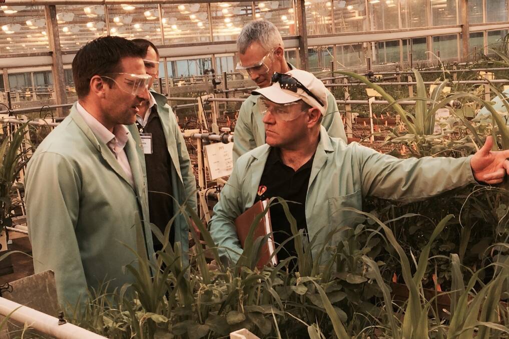 Outreach manager at Syngenta's Jealott's Hill research centre in Berkshire, UK Jim Morton discusses glasshouse plant research trials with Western Australian consultant Dave Stead, Anasazi Agronomy York.