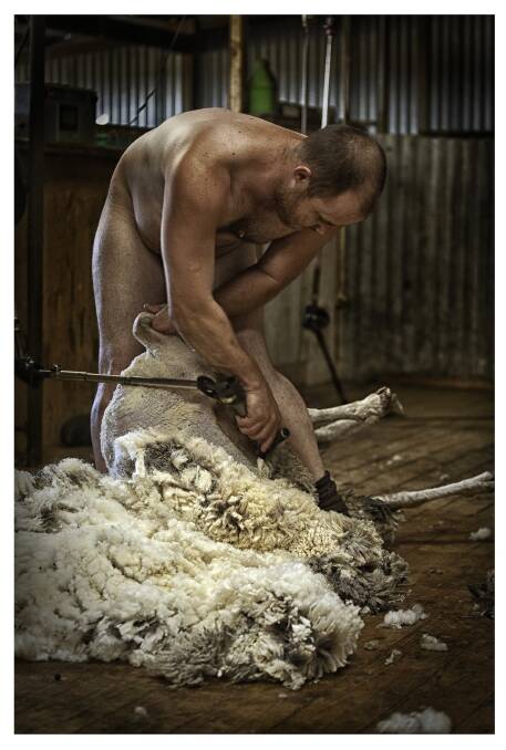 Hot work: Jacqui Bateman counteracted PETA's anti-wool campaign with a photo of shearer Daniel Telfer which reached 700,000 people. Photo: Jacqui Bateman Photography