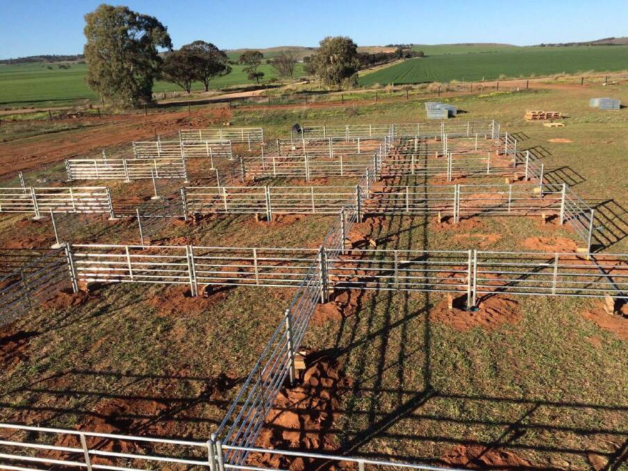 SHEEP PENS: The Crystal Brook saleyards will have capacity for 10,000 sheep and lambs. The facility's first sale is scheduled for late September.