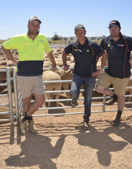 INAUGURAL AUCTION: Scott Atkinson, Snowtown, Platinum Ag Services Crystal Brook manager Ben Hook and merchandise manager Damien Page.