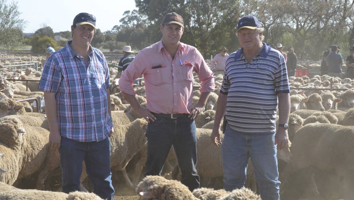 Elders Eudunda agent Paul Kilby (pictured centre) with Karl Zerner, Eudunda, and his dad Lyndon Zerner, who bought the tops of the 5.5-year-old ewes for $158.