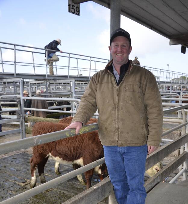 SIMILAR MONEY: Creek Livestock agent Scott Creek said the Mount Gambier sale on Friday returned similar money to the previous month's auction.
