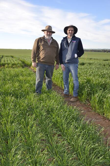 WINTER WALK: Mid North High Rainfall Zone chairman Pat Connell and Advanta Seeds wheat technical manager Colin Edmondson at the MNHRZ winter walk on Friday.