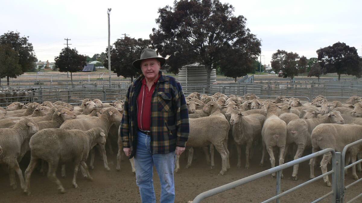 Greg Brown, Underbool, Vic, with his five-year-old Lines-blood wethers that made $203 at Ouyen, Vic.