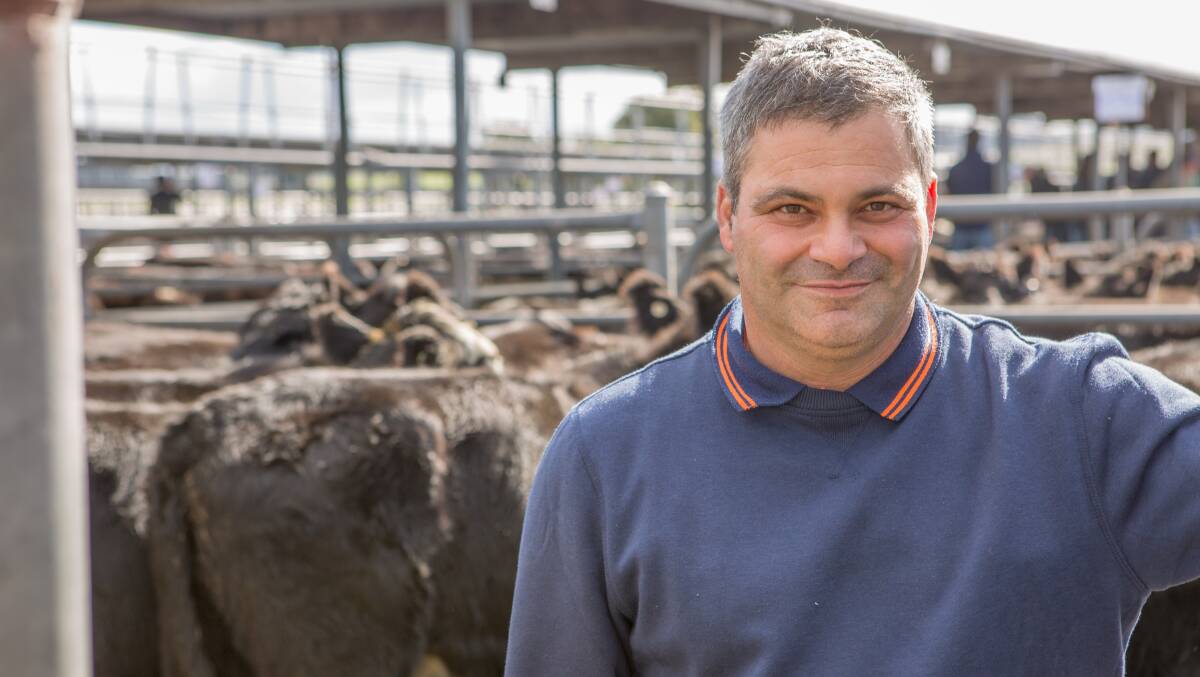 Aldo Circelli, Tuscanna, West Avenue, sold 208 Angus steers, 8-9 months, with weights from 200-368kg, for an average of $1143. The top draft, 332kg, sold at $1330 or $4/kg to Landmark Kingston.

Mr Circelli also sold 117 Angus heifers, 8-9 months for an average of $1,156, the tops av 335kg selling at $1,330 or $3.97/kg to Thomas DeGaris & Clarkson, Penola.