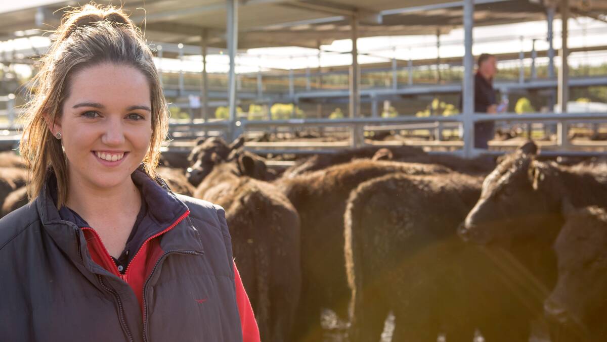 Borderdowns livestock manager Emma Smith, Strathdownie, Vic, sold 60 European Union-accredited, TeMania and Ardrossan-blood Angus steers, 10-12 months, with weights from 323 to 351 kilograms, for an average of $1435.  The top draft of steers, 351kg, sold at $1455 or $4.15/kg and a second draft, 323kg, sold at $1395 or $4.32/kg to Hopkins River Pastoral Co, Dunkeld, Vic.