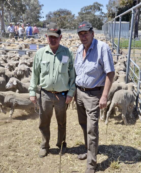 Landmark Bordertown livestock manager Graeme Hampel with Trevor Thomas, Pine Hill, who had a flock dispersal at the Bordertown off-shears. This pen of ewe lambs made $161.