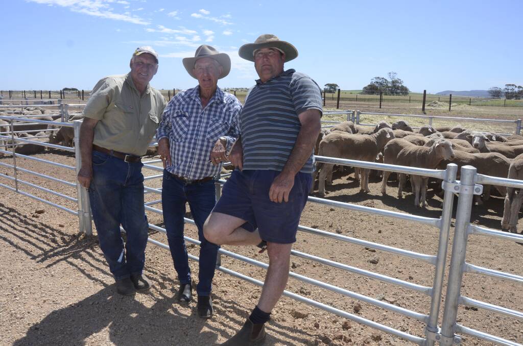 INSPECTION: Wayne Young, Butlers Bridge, checking out the pens with Trevor Klemm, Wallaroo, and Brenton Ferme, Wandearah.
