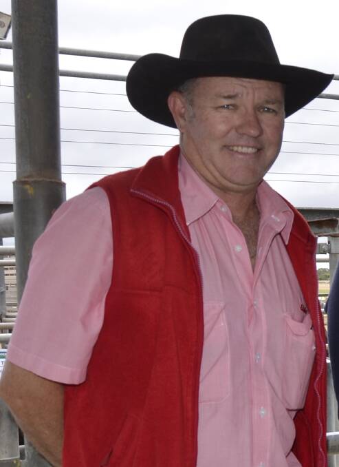 SALE-O: Elders' Danny Reynolds expects great prices for weaners.