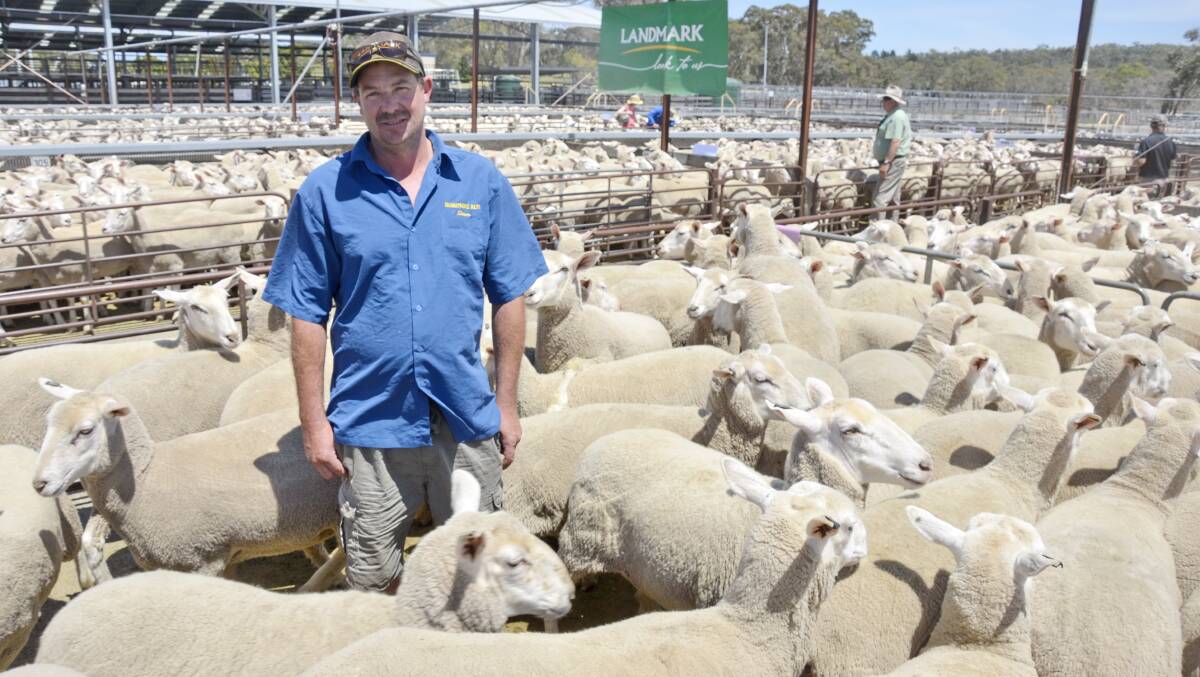 FLEURIEU VENDOR: Simon Formby, Rushmore Run, Strathalbyn, sold first-cross ewes to $316 at Naracoorte last week. Mr Formby is an annual seller at Naracoorte.