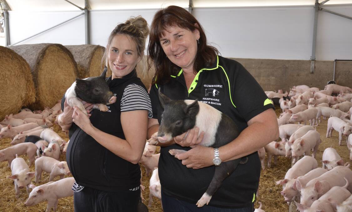 VALUE-ADDING: Gumshire Hampshires' Amy and Margaret Blenkiron with two of their Hampshire piglets.