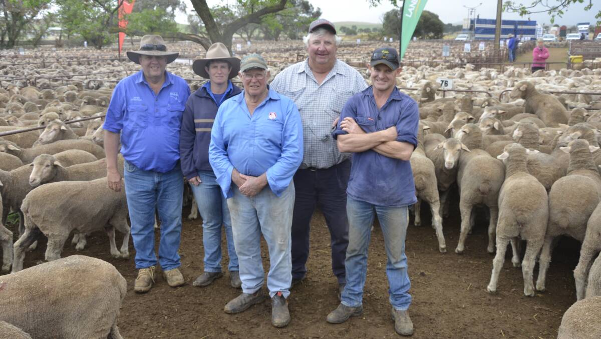 Jones Livestock agent Richard Jones bought this pen of 129 Moorundie Park-blood young ewes at $250 for clients Victoria and John Day (second from right), Boundrina, Reeves Plains, from father and son Mark and Sam Lemon, Gulnare, at Jamestown on Thursday last week.