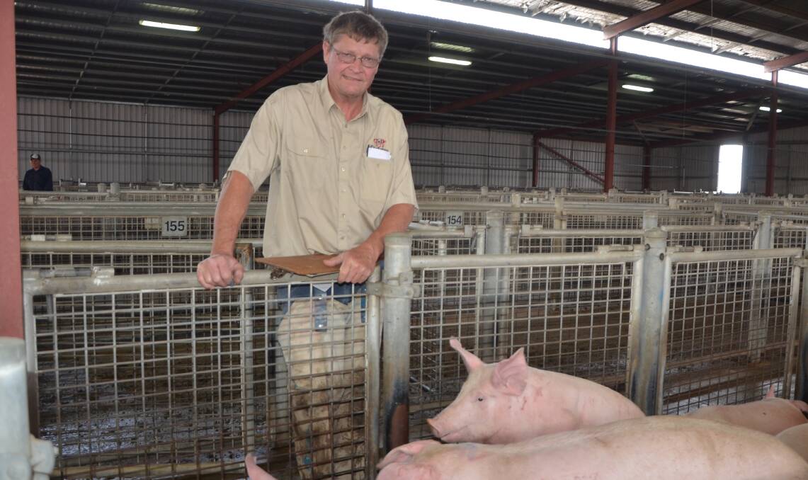 TOUGH DAY: Dublin pig auctioneer Garry Tiss said Tuesday's sale was one of the toughest auctions he had seen, with male baconers going as low as $1.20 a kilogram.