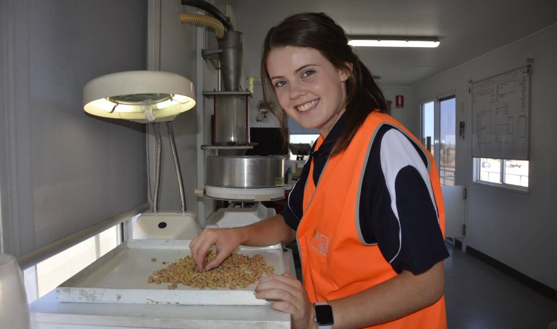 GRAIN CHECK: AGT Foods Australia administration assistant Amy Langdon inspecting beans at the company's sampling bridge at Bowmans. Pulse deliveries started coming in to the Bowmans site in late October, but slowed down by Christmas. Quality has been generally good across SA.