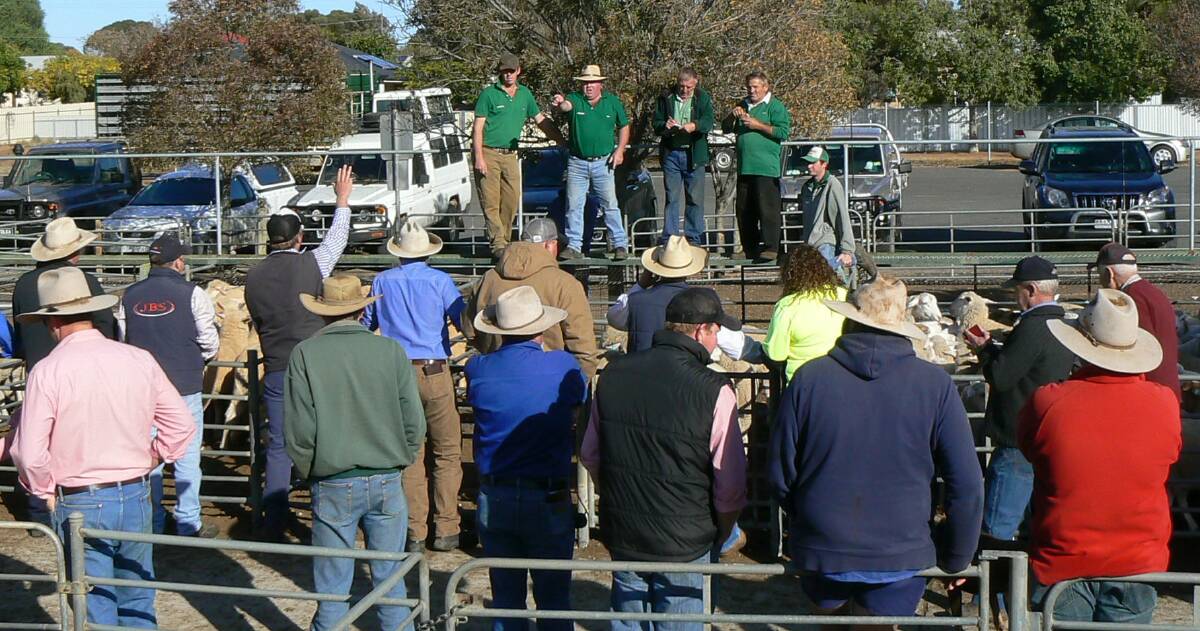 IN ACTION: The Landmark team selling lambs at the Ouyen, Vic, Livestock Exchange. The market's top price was $178 for crossbred lambs.