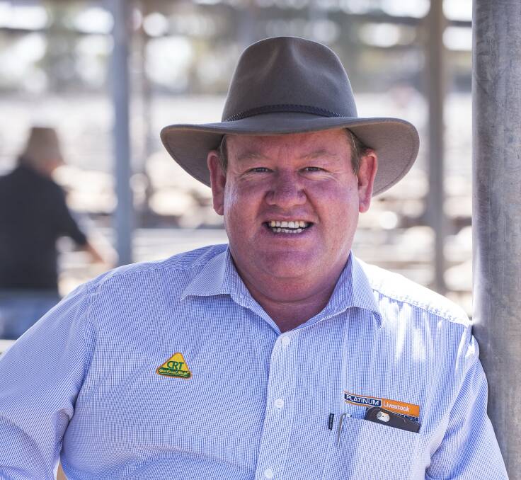 Combined Independent Agents Association director Wayne Hall says new saleyards at Crystal Brook will host their first sale on October 4.