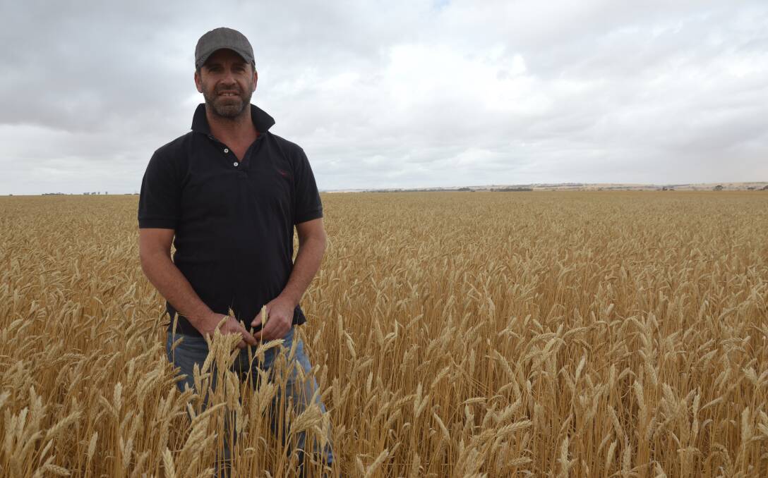 TOP FARMER: Nick May, Pinery, has been named the 2016 durum grower of the year, and will receive a trip to Italy from San Remo.