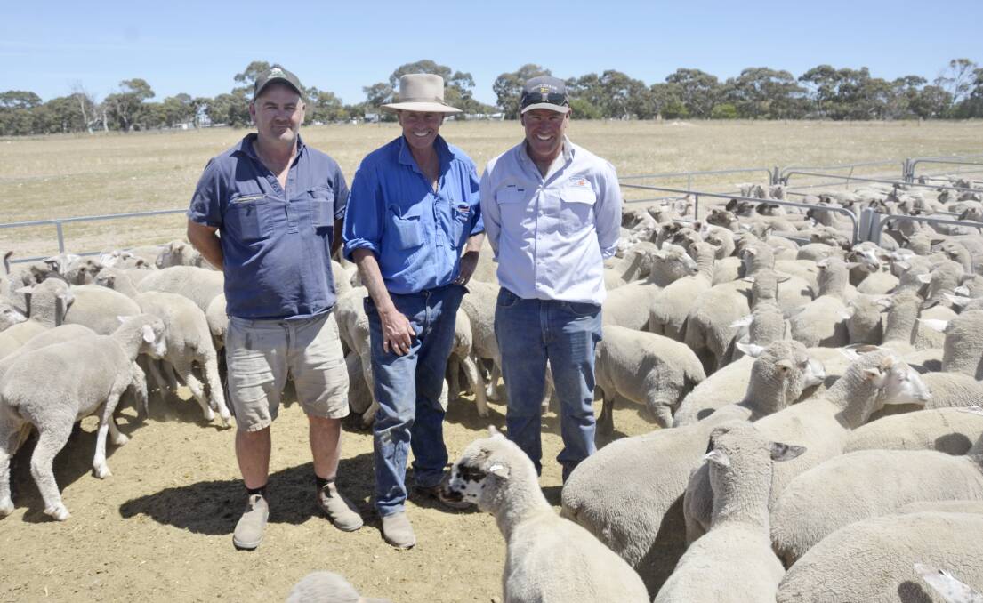 CROSSBRED PEN: At the Keith off-shears sale were Broadlands cropping manager Toby Downs, Peake, John Farley, Broadlands, who sold this pen of 575 crossbred lambs for $123, and Spence Dix & Co Keith livestock agent Rodney Dix.