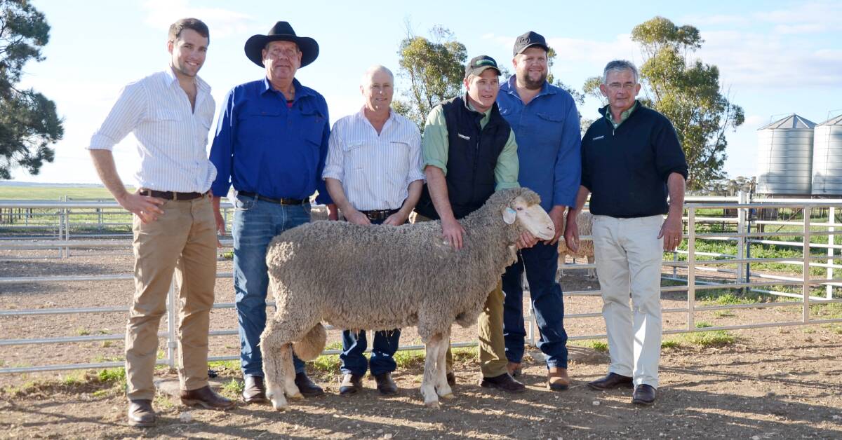 BUCKLEBOO AUCTION: Dion Woolford, Jack Larwood, Bert Woolford, Simon Arcus, Tim Larwood and Phil Arcus with the top price ram.