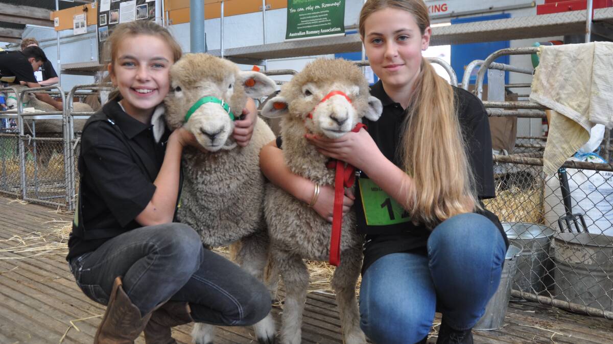 SA Sheep Expo draws plenty of interest