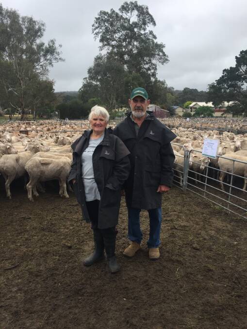 Fran and Jeff Henschke, Mount Pleasant, with their final lot of sheep ever to be offered, as their property has been sold.
