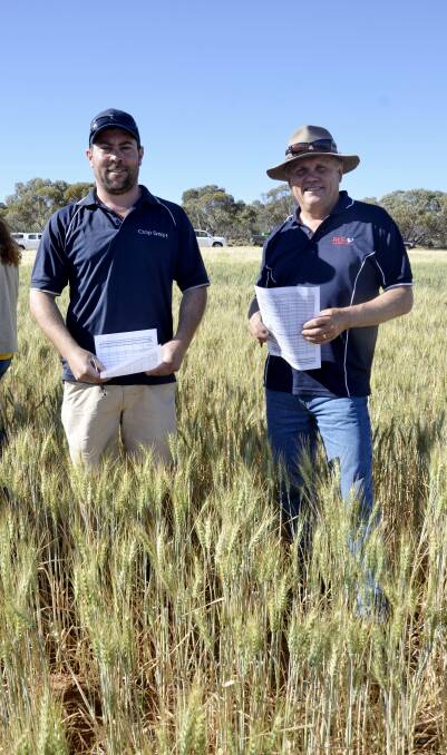Lachie Singh, Alawoona, and Dean Fielke, Loxton, inspecting a crop at Paruna as part of the Brown's Well Crop Competition.