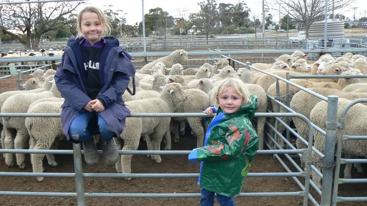 Izzie and Billy Kelly in front of their grandparents’ Marg and Duke Nicholl’s pen of 36 crossbred new season sucker lambs that sold for $133.