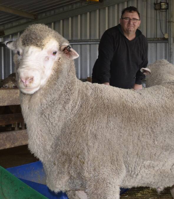 NEW RESOURCE: WoolProducers Australia president Richard Halliday, Bordertown, said a drug and alcohol policy for shearers could be a useful tool for farmers.