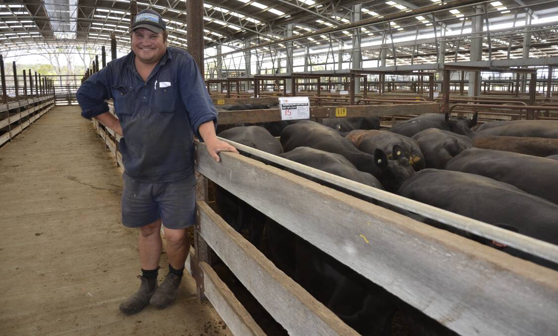 Nurrungar Pastoral Co's Andrew Lock with the highest price pen of cows, 15 at $2260.