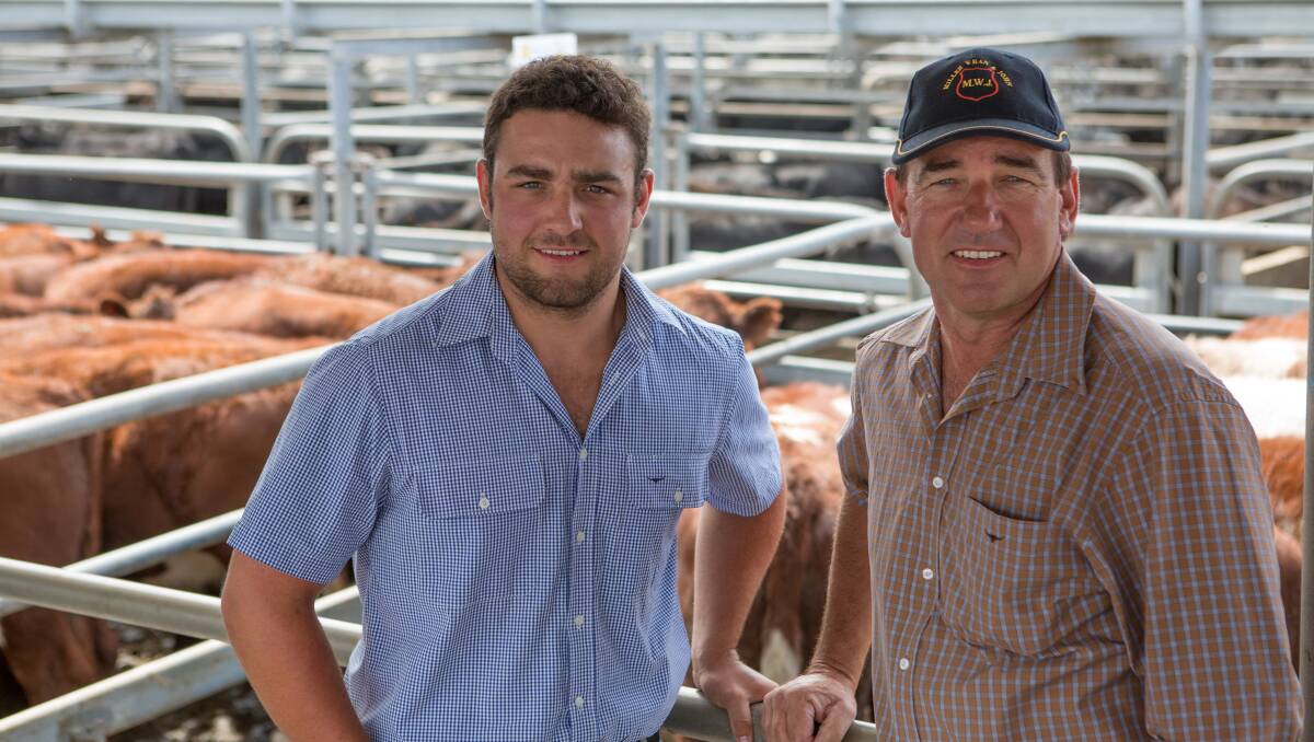 James and Keith Higgins, Patanga Pastoral Co, Avenue Range, sold their annual draft of Shorthorn steers, averaging $1415.  