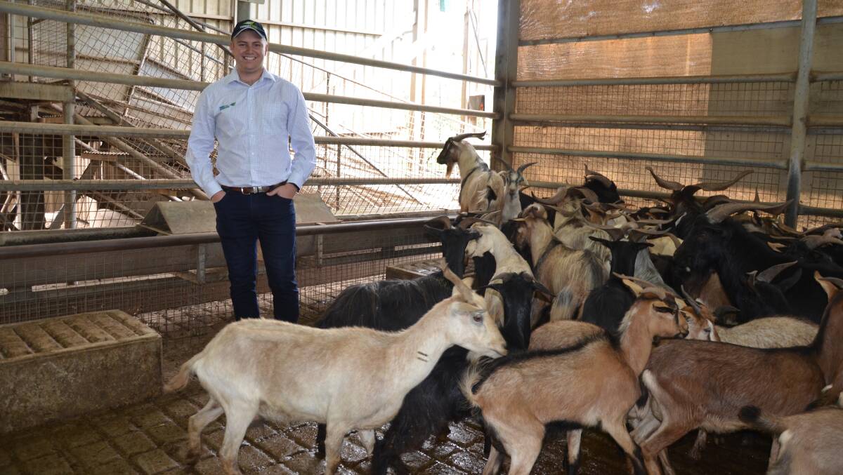 Thomas Foods International goat buyer Simon Prior at the company's Lobethal abattoir.